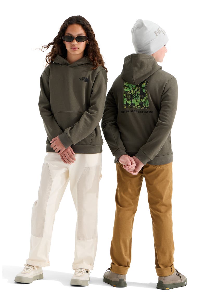 Kids' Evolution Print Box NSE Hoodie, Alternate, color, NEW TAUPE GREEN/ YOSEMITE OAK