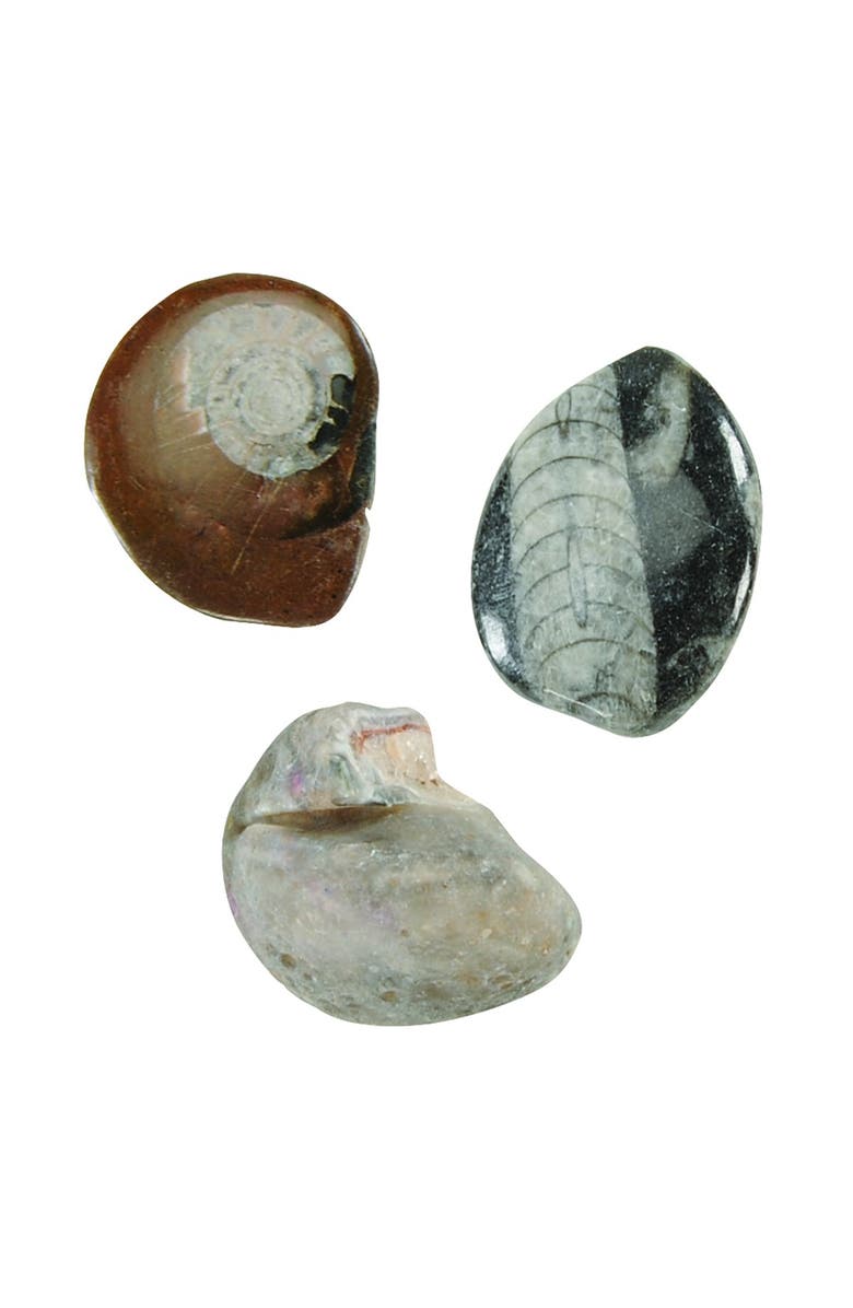 Kaplan Early Learning Company Let's See Nature Assorted Loose Parts, Alternate, color, Multicolor