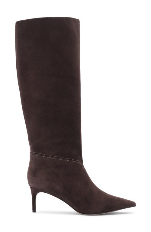 Alexandre Birman Malva Pointed Toe Knee High Boot In Brown