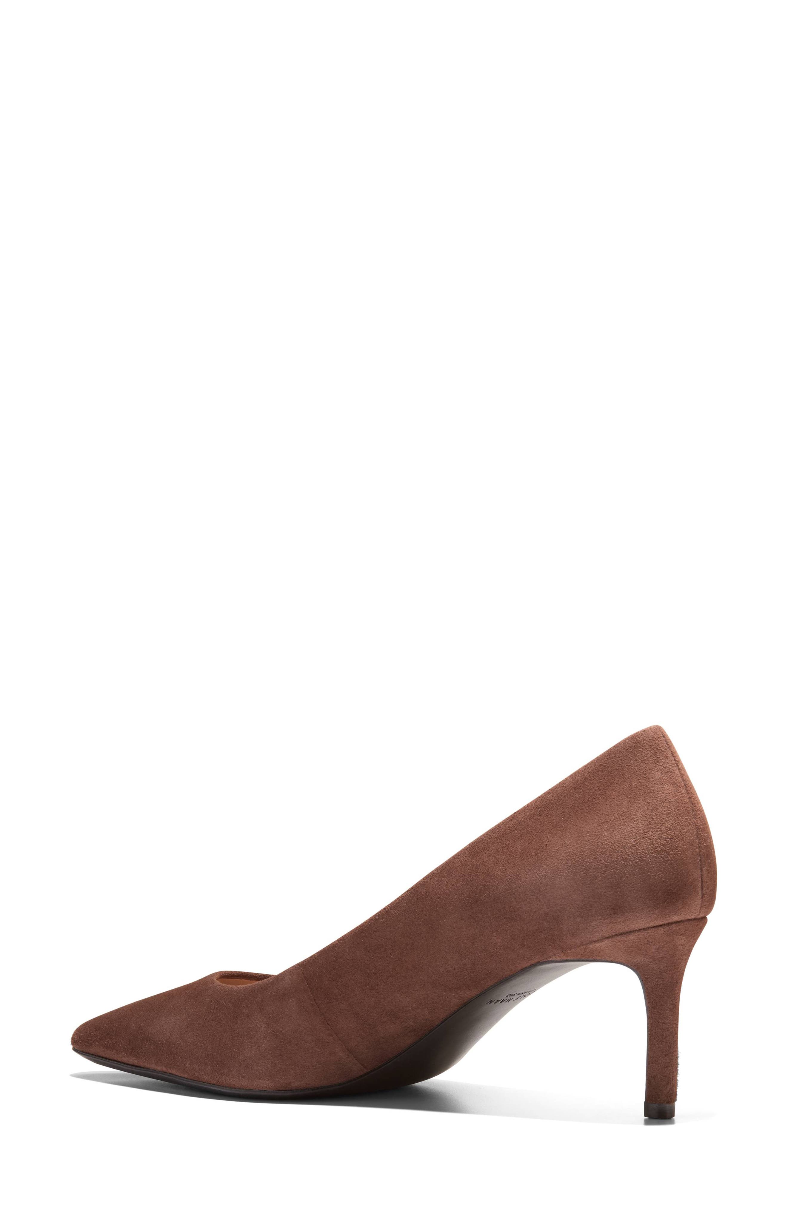 The Go-To Janey Pointed Toe Pump, Alternate, color, FONDUE FUDGE SUEDE