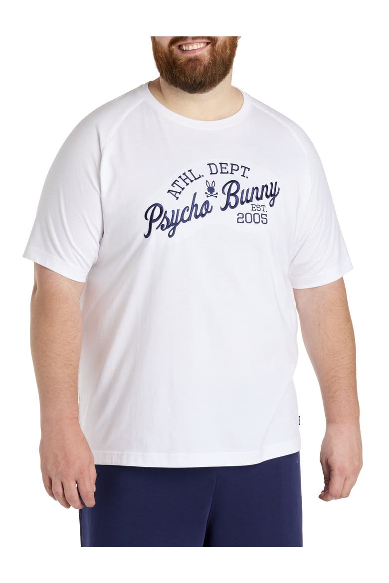 Big & Tall Fenton Graphic Tee, Main, color, WHITE