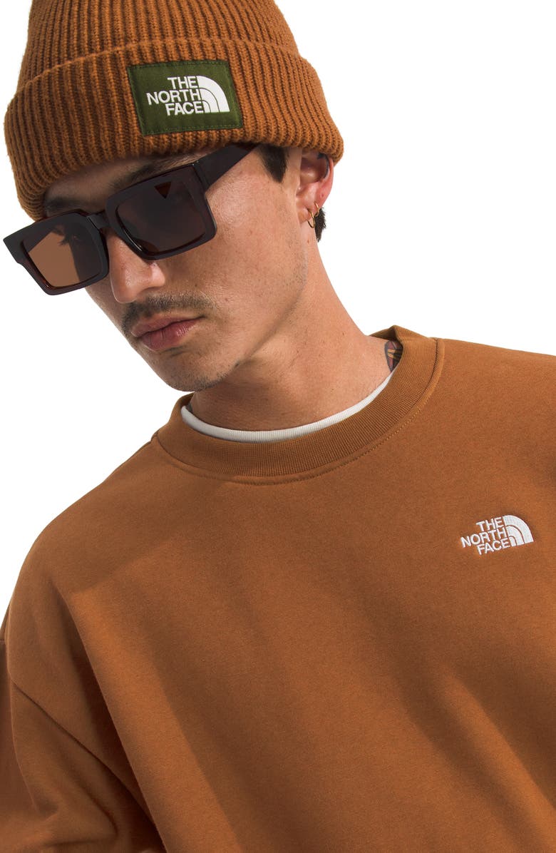 The North Face Oversize Evolution Simple Dome Crewneck Sweatshirt, Alternate, color, Burnt Umber