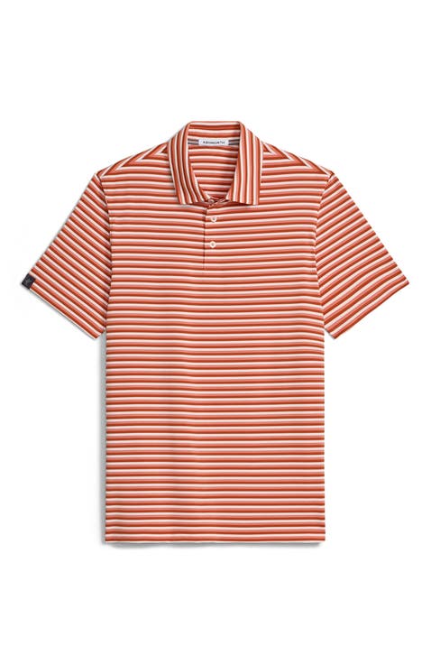 Ivy Stripe Polo