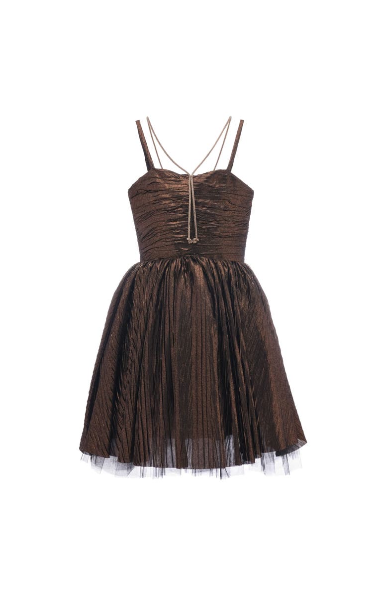Tulleen Gianotta Dress, Main, color, Bronze