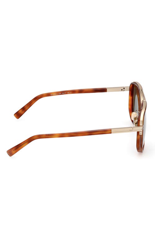 Zegna Men's 59mm Square Metal Sunglasses In Shiny Classic Havana