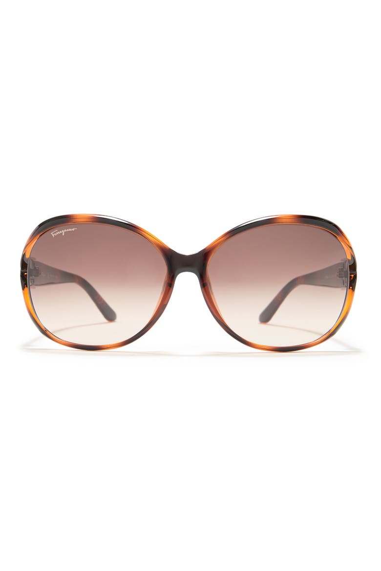 Salvatore Ferragamo 61mm Round Sunglasses, Main, color, HAVANA BRN