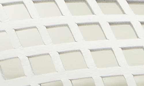Shop Proenza Schouler Tee Perforated Ballet Flat In Ivory
