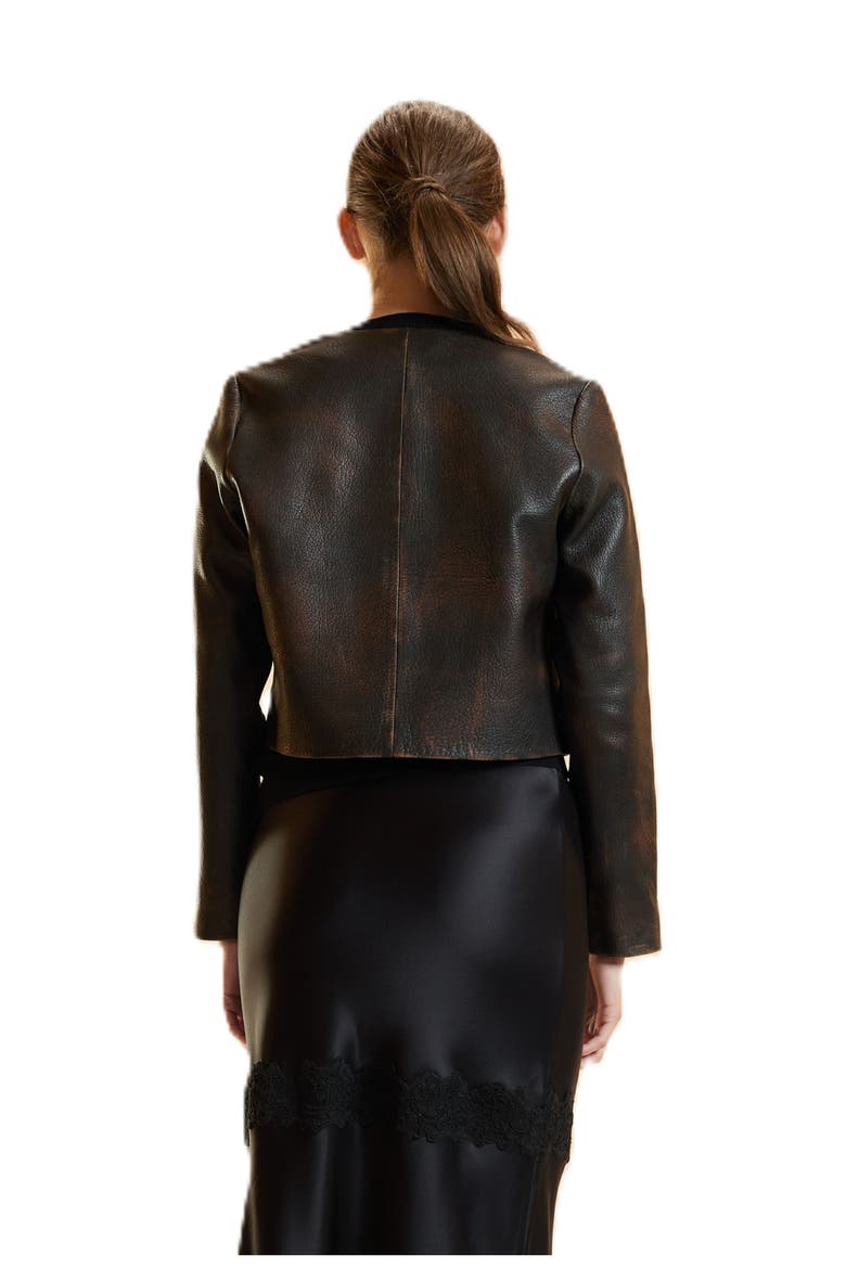 Leather Jacket, Alternate, color, Brown
