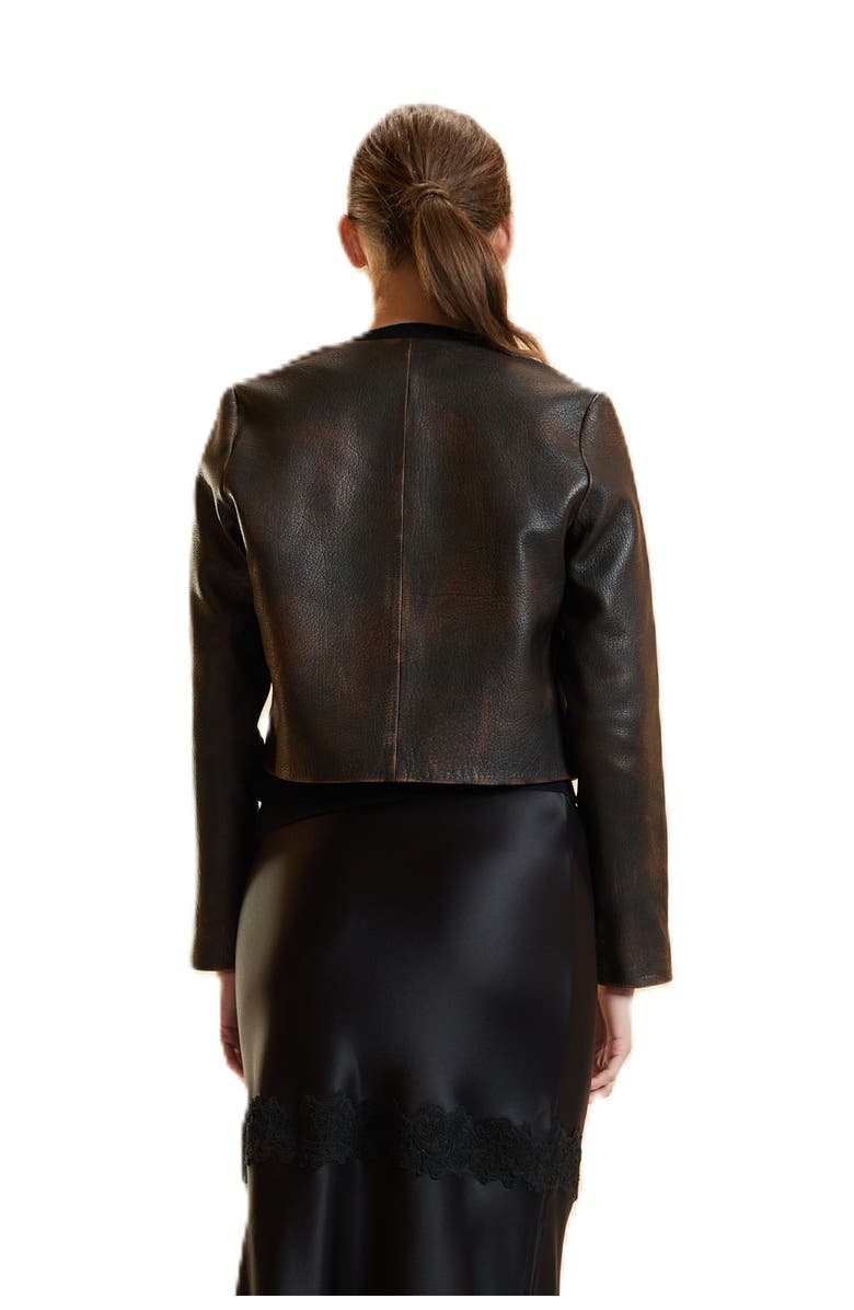 Cynthia Rowley Leather Jacket, Alternate, color, Brown