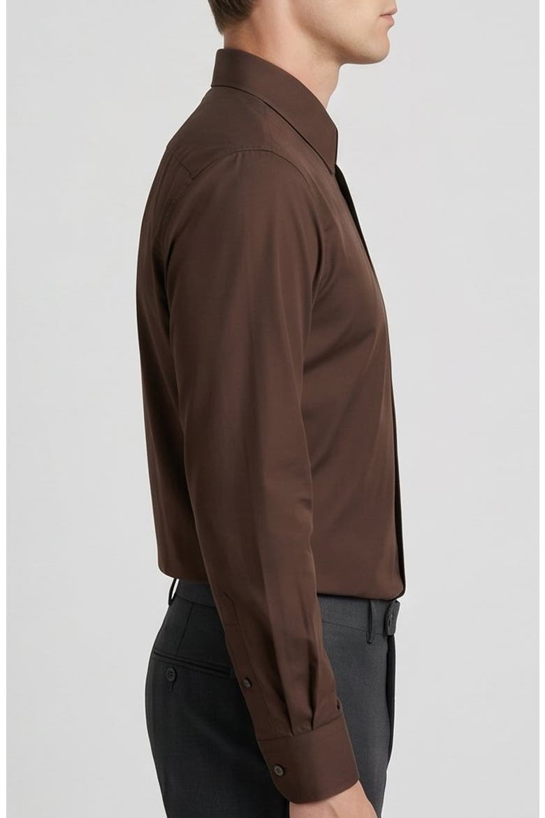 Stretch Cotton Dress Shirt, Alternate, color, BROWN
