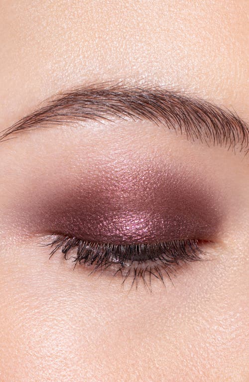 Chantecaille Luminescent Eye Shades In Gray