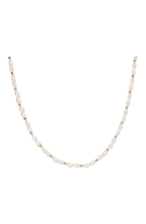 Little Sky Stone Zera Pearl Choker Necklace In Multi