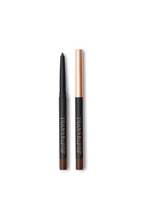 Youngblood Mineral Cosmetics One Swipe Gel Eyeliner In Brown