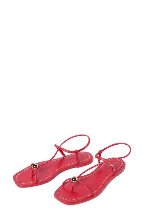 Loeffler Randall Lara Ankle Strap Sandal In Red