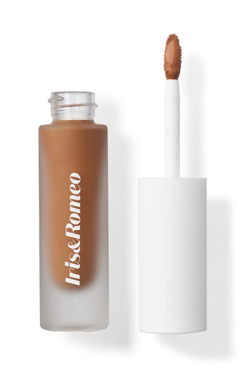 IRIS&ROMEO Best Skin Days™ Treatment Concealer in Shade 11  product