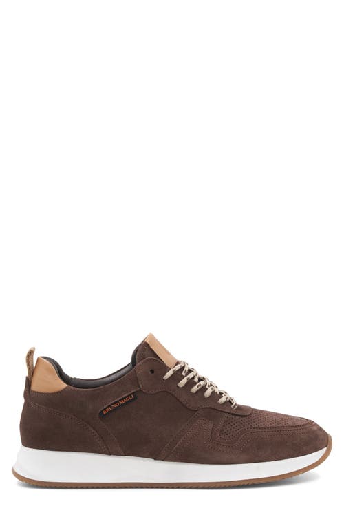 Bruno Magli Capri Sneaker In Brown Suede