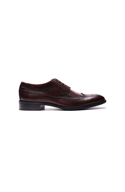 Carlos Santana Felix Wingtip