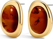 Luv AJ The Amber Honey Resin Stud Earrings
