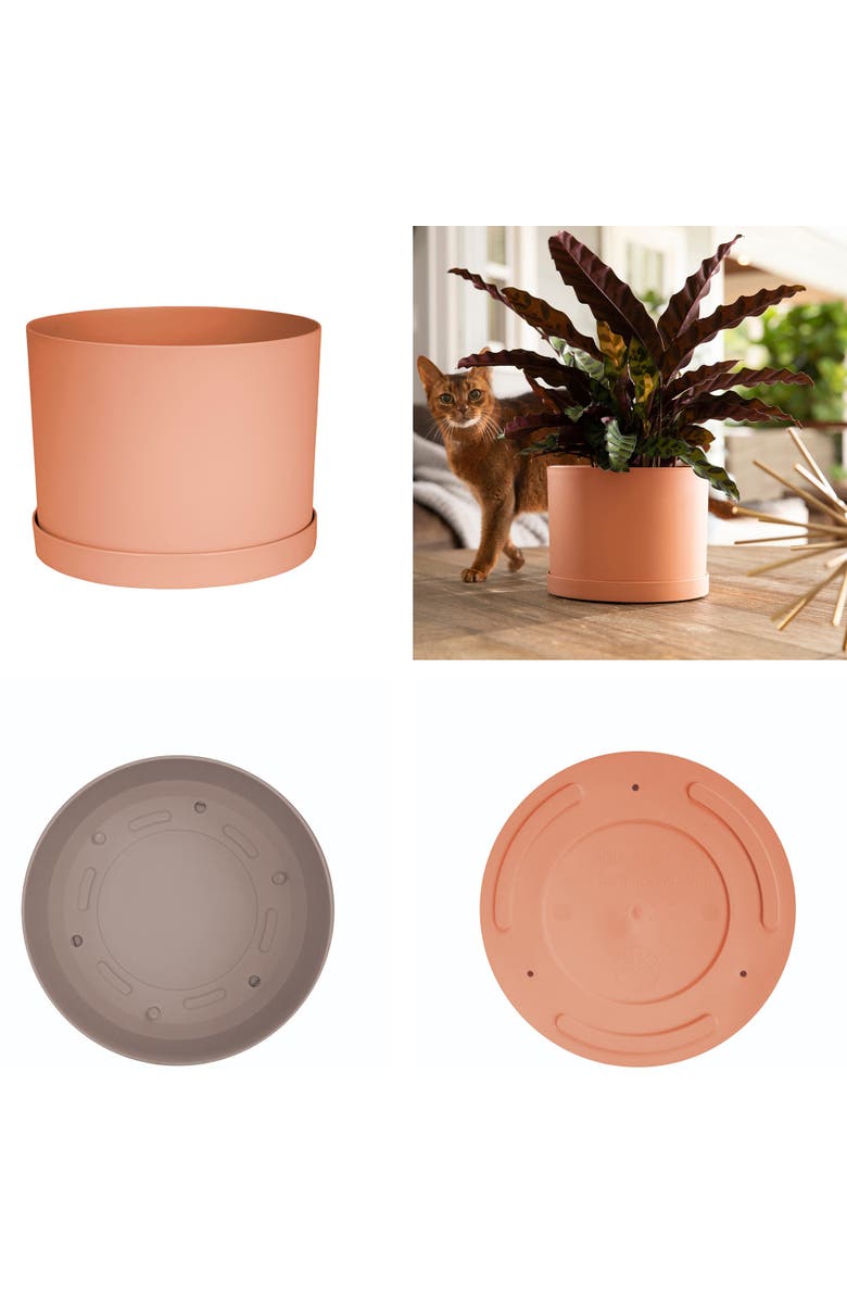 Bloem Mathers 6.5W x 8.5"H Gardening Planter with Saucer Tray, Muted Terra Cotta, Alternate, color, Orange