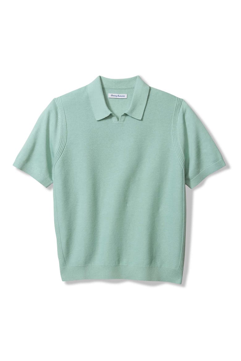 Capri Cove Johnny Collar Polo, Main, color, AQUIFER HEATHER