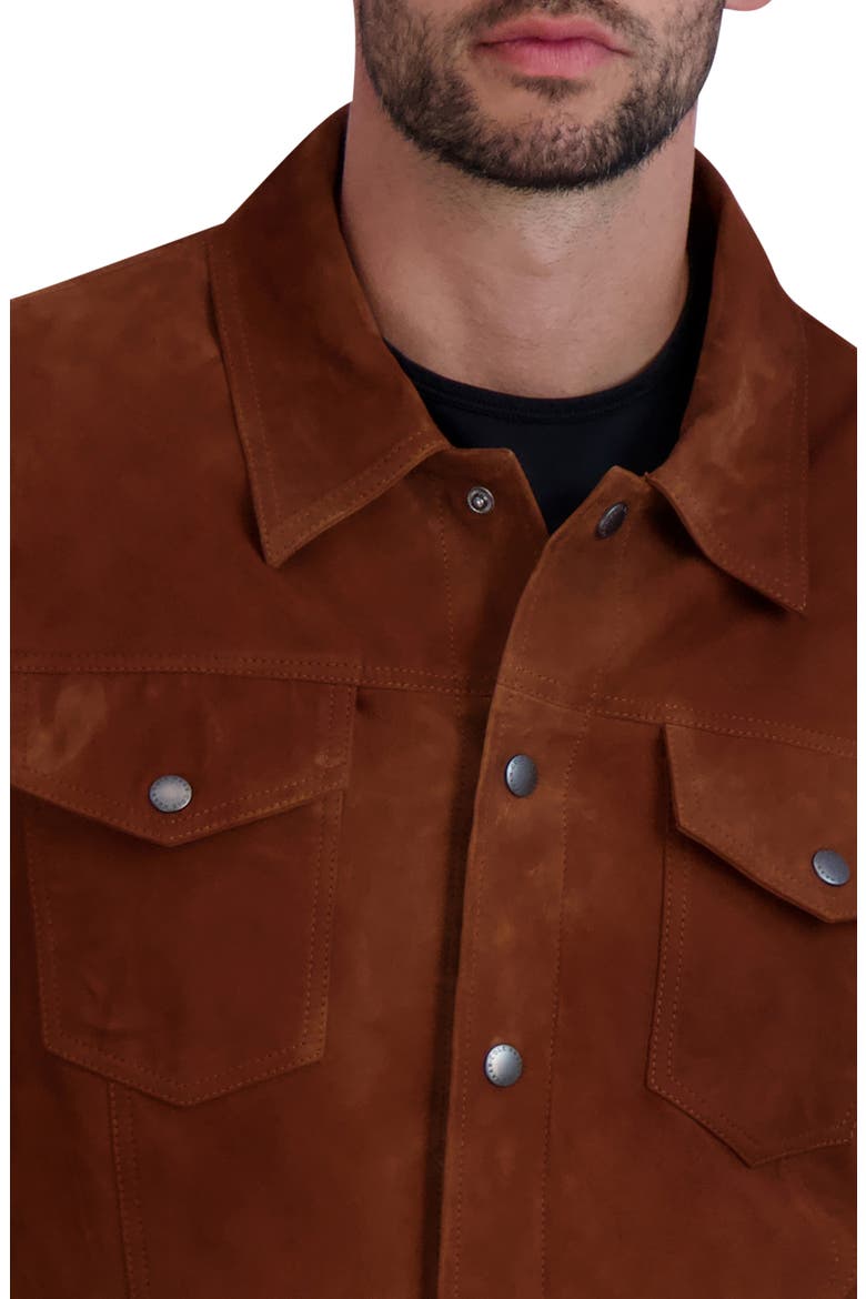 Suede Trucker Jacket, Alternate, color, COGNAC