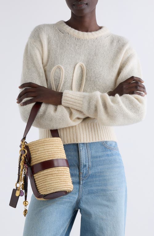 Chloé Kerala 25 Embellished Leather-trimmed Faux Raffia Tote In Dark Ebony