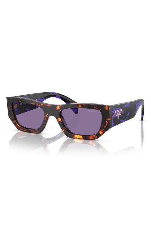 Prada Eyewear Sunglasses In Havana