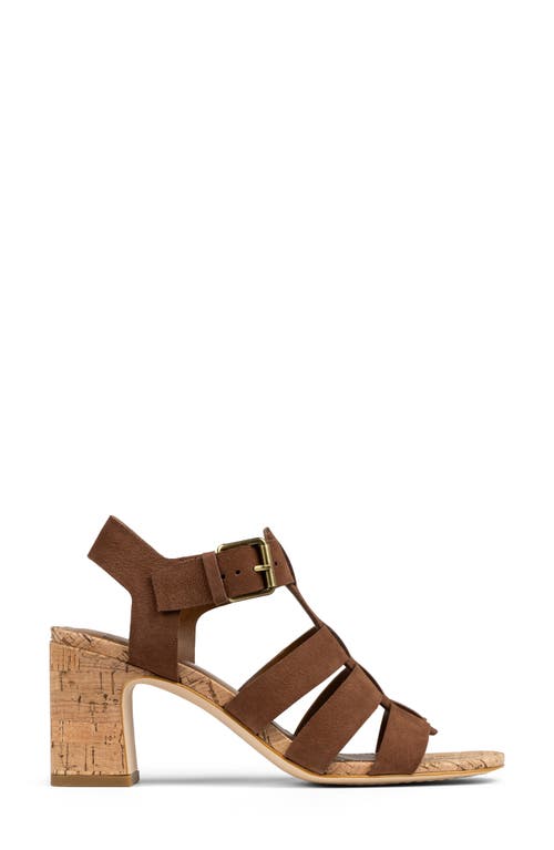 Donald Pliner Dashira Sandal In Brown
