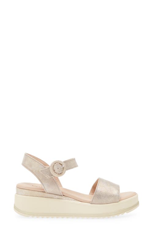Cordani Arielle Ankle Strap Platform Wedge Sandal In Soft Gold