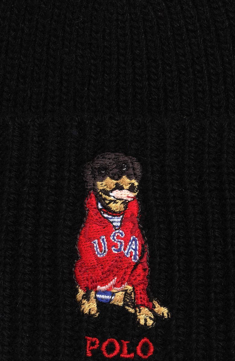 Polo Ralph Lauren Usa Dog Beanie, Alternate, color, Polo Black