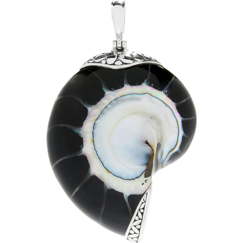 Samuel B. Sterling Silver Nautilus Shell Pendant In Black