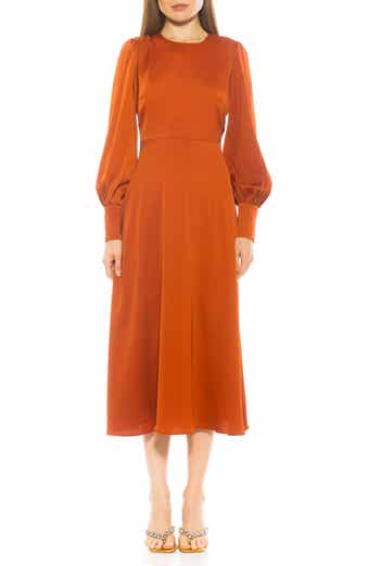 Alexia Admor Sophie Long Sleeve Fit & Flare Maxi Dress