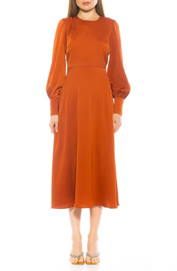 Alexia Admor Sophie Long Sleeve Fit & Flare Maxi Dress In Camel