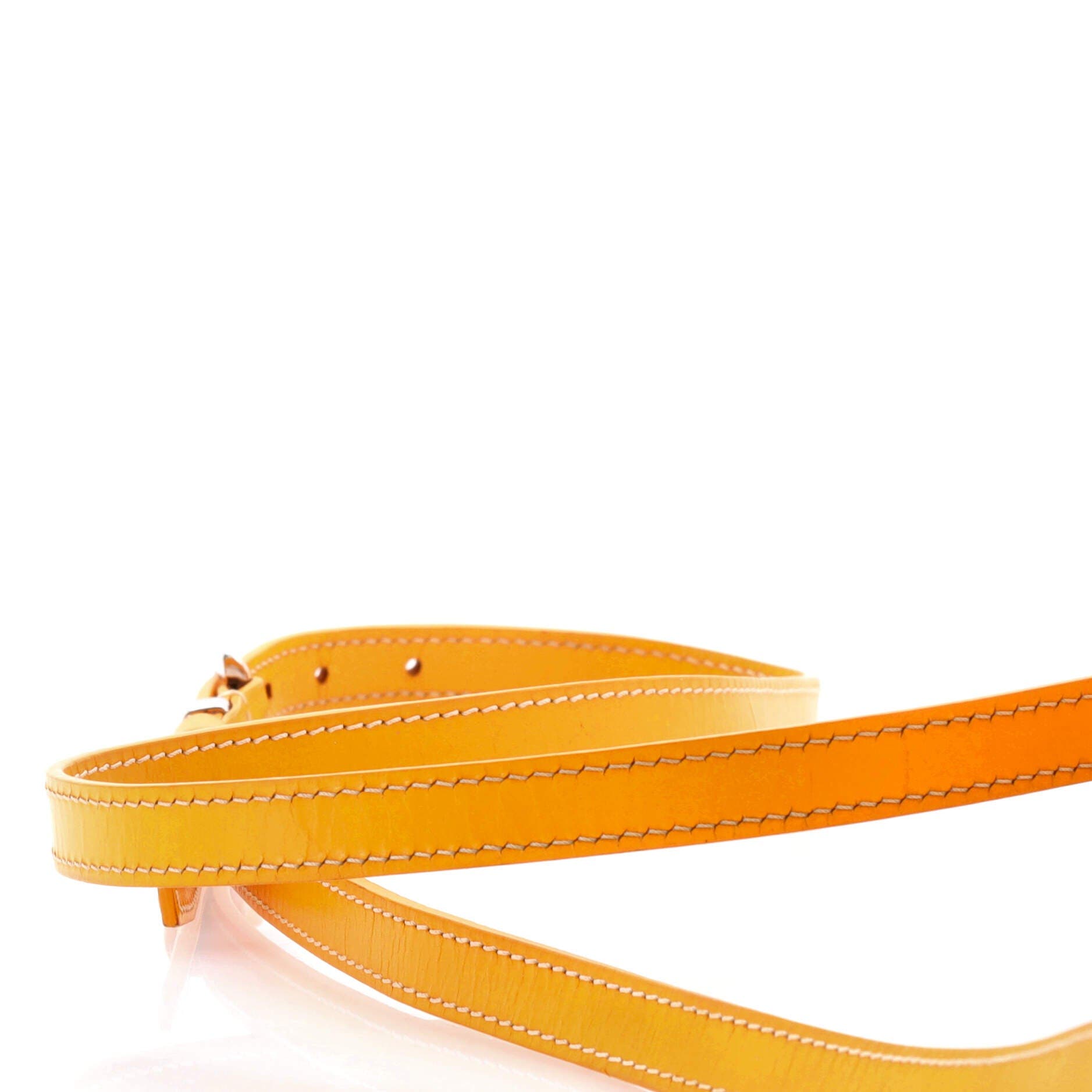 Pre-Owned Goyard Cap Vert Bag Coated Canvas, Alternate, color, 