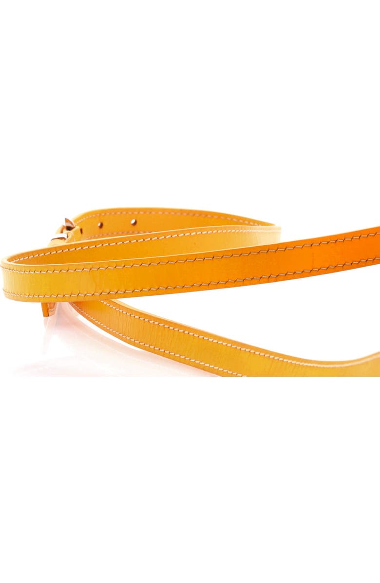 Pre-Owned Goyard Cap Vert Bag Coated Canvas, Alternate, color,