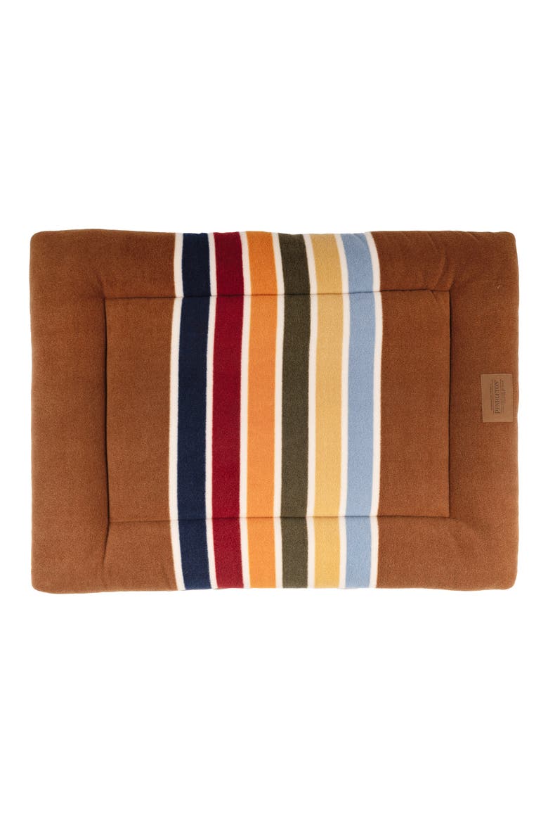 National Park Comfort Cushion, Alternate, color, JOSHUA TREE