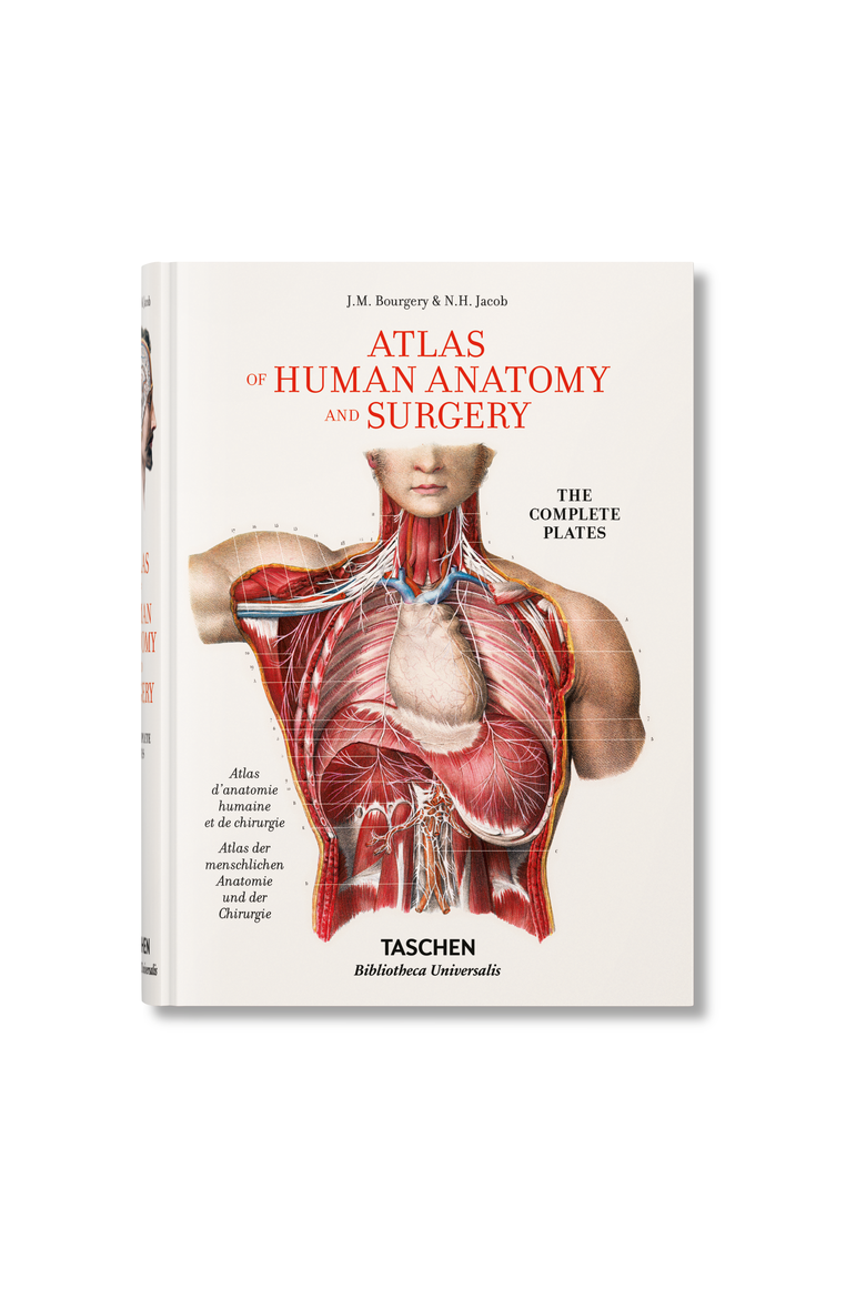 Bourgery Atlas of Human Anatomy and Surgery English French German Book, Main, color, multicolor