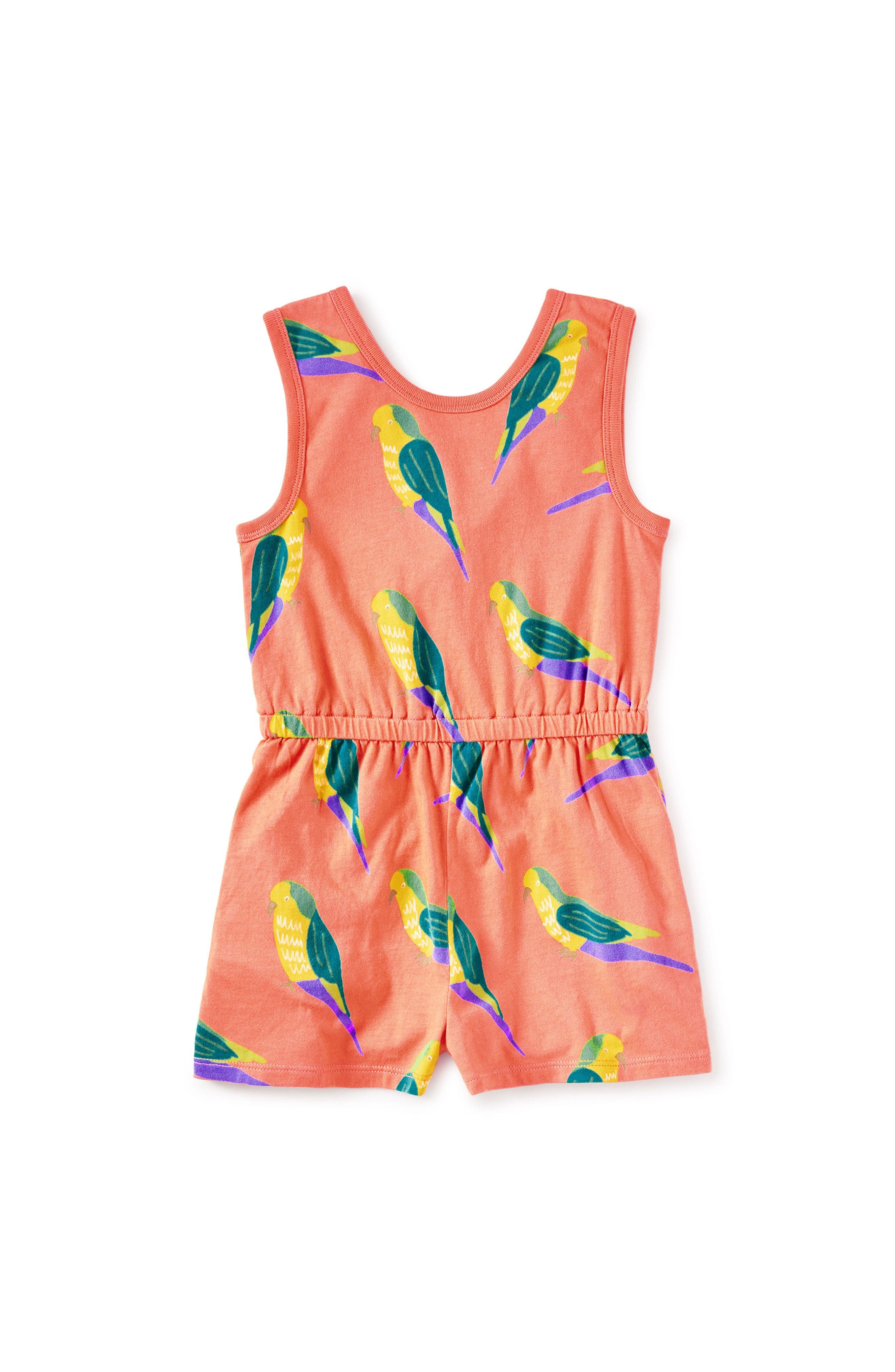 selected Monk Parakeet