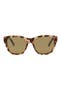 selected Tortoise Tortoise Bronze