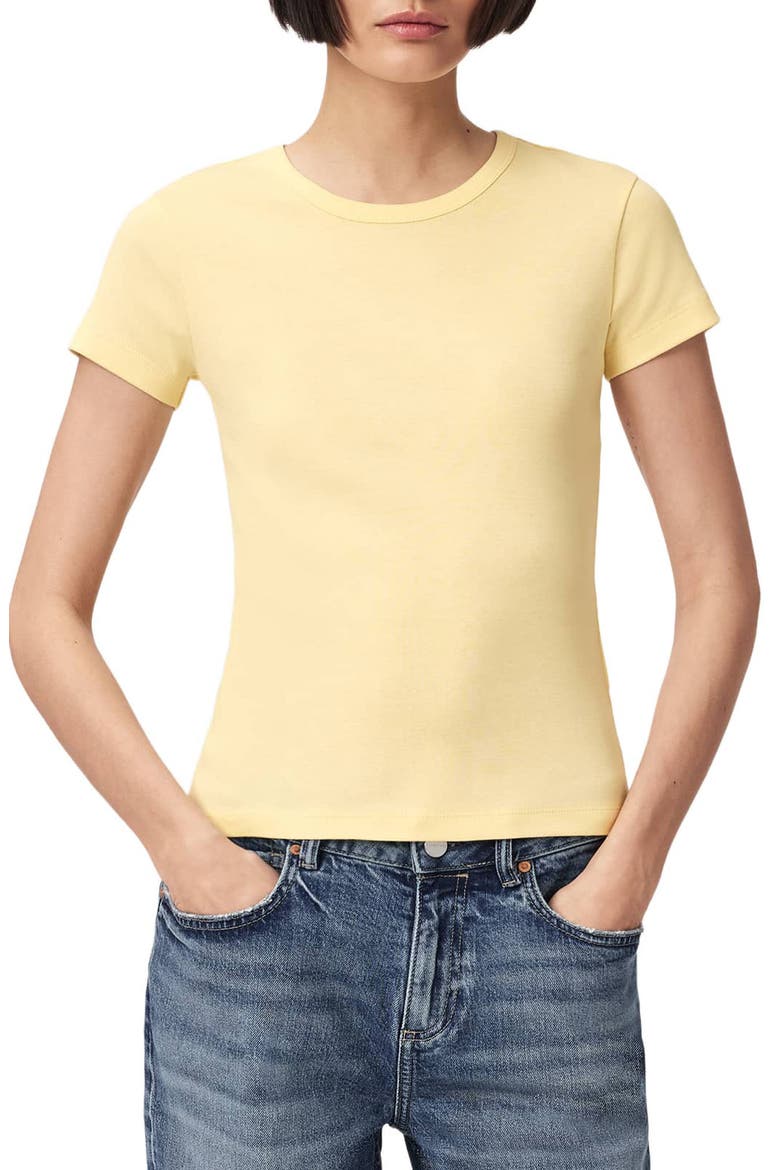 Stevie Cotton T-Shirt, Main, color, HAY YELLOW