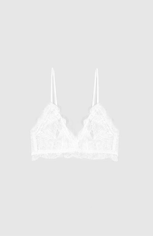 Anine Bing Semi-sheer Lace Bra With Trim