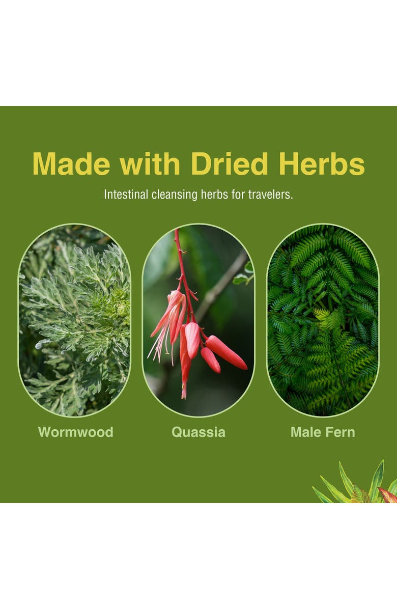 Herbs Etc. ParaFree Digestive & Intestinal Support Softgels, 60 Count, Alternate, color, NO COLOR