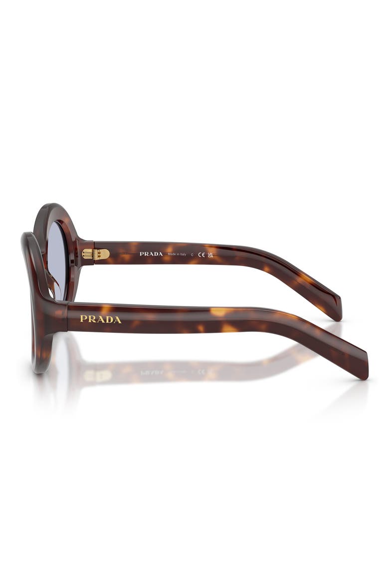 53mm Gradient Round Sunglasses, Alternate, color, CLASSIC TORTOISE / BLUE