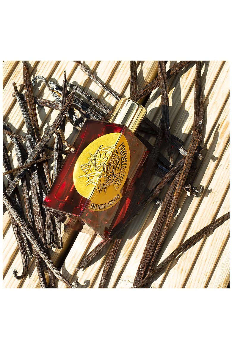 Frustration Eau de Parfum, Alternate, color, NO COLOR