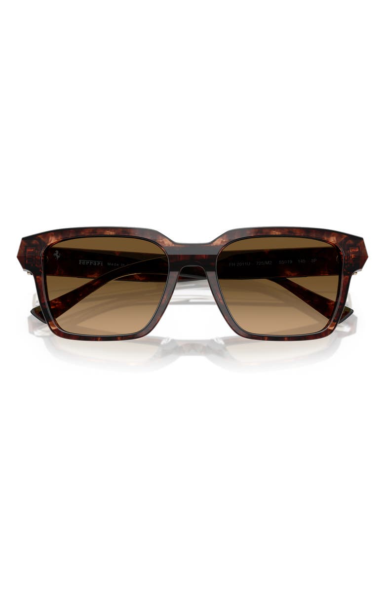 Scuderia Ferrari 55mm Polarized Square Sunglasses, Alternate, color, Caramel Havana / Brown