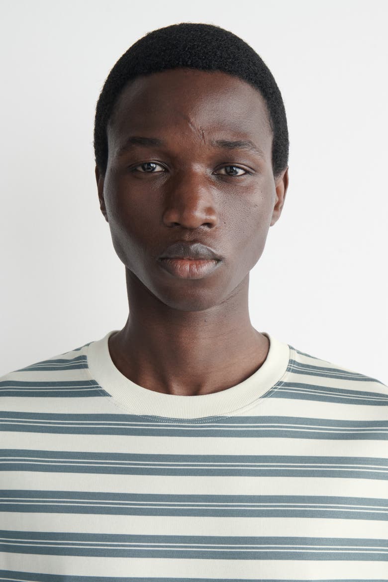 Oversized Striped Cotton T-shirt, Alternate, color, BLUE / OFF-WHITE / STRIPED
