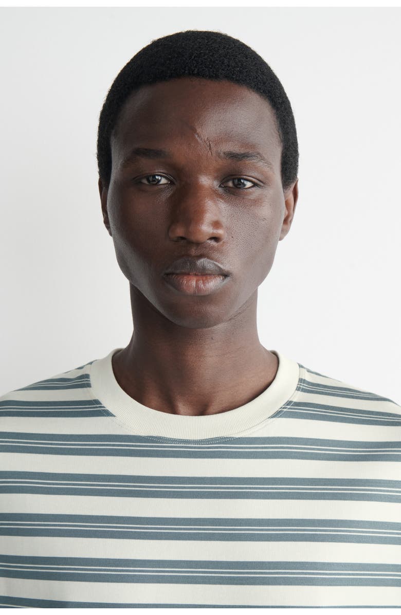COS Oversized Striped Cotton T-shirt, Alternate, color, Blue / Off-White / Striped