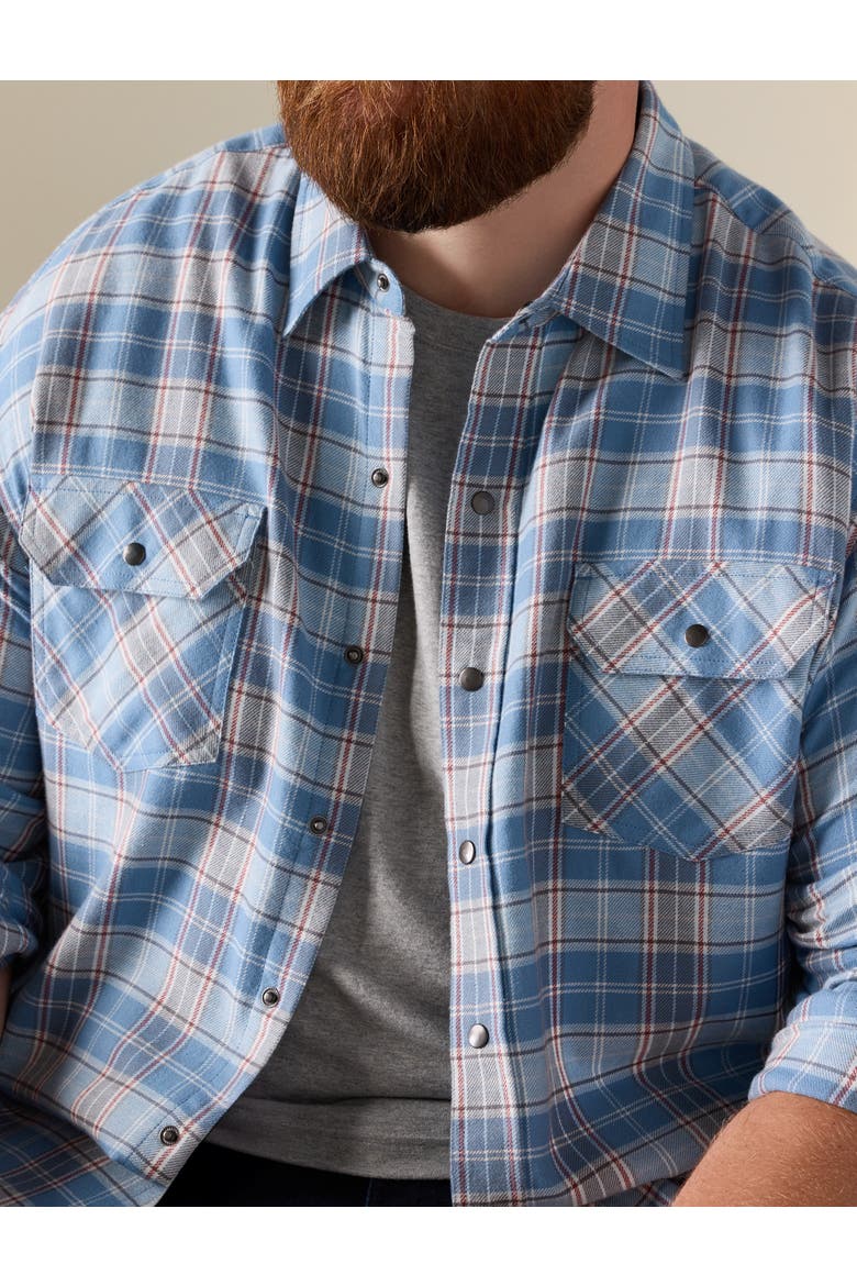 Big & Tall Medium Plaid Flannel Sport Shirt V2, Alternate, color, BLUE GREY