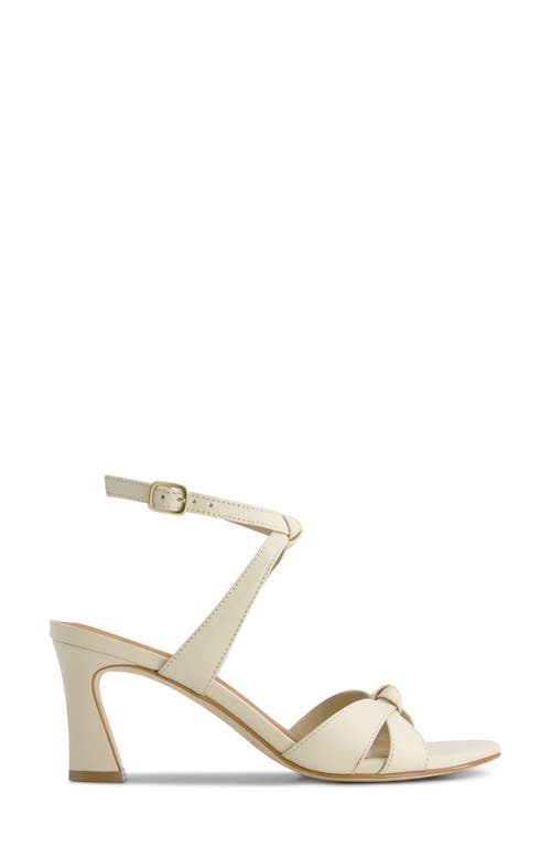 Bernardo Neera Sandal In Animal Print