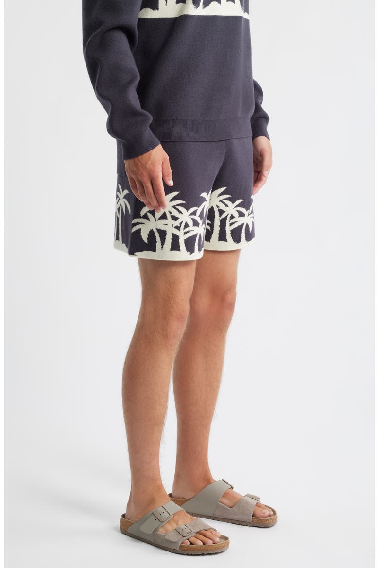 Palm Beach Knit Shorts, Alternate, color, GREY